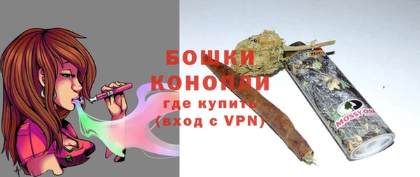 шишки Бронницы