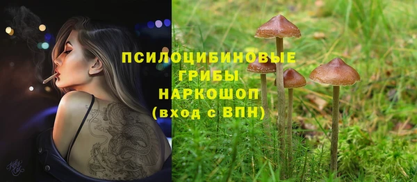 гашишное масло Верея
