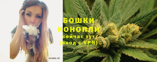 шишки Бронницы