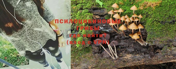 шишки Бронницы