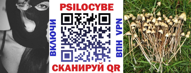 omg ТОР Кировград Псилоцибиновые грибы GOLDEN TEACHER